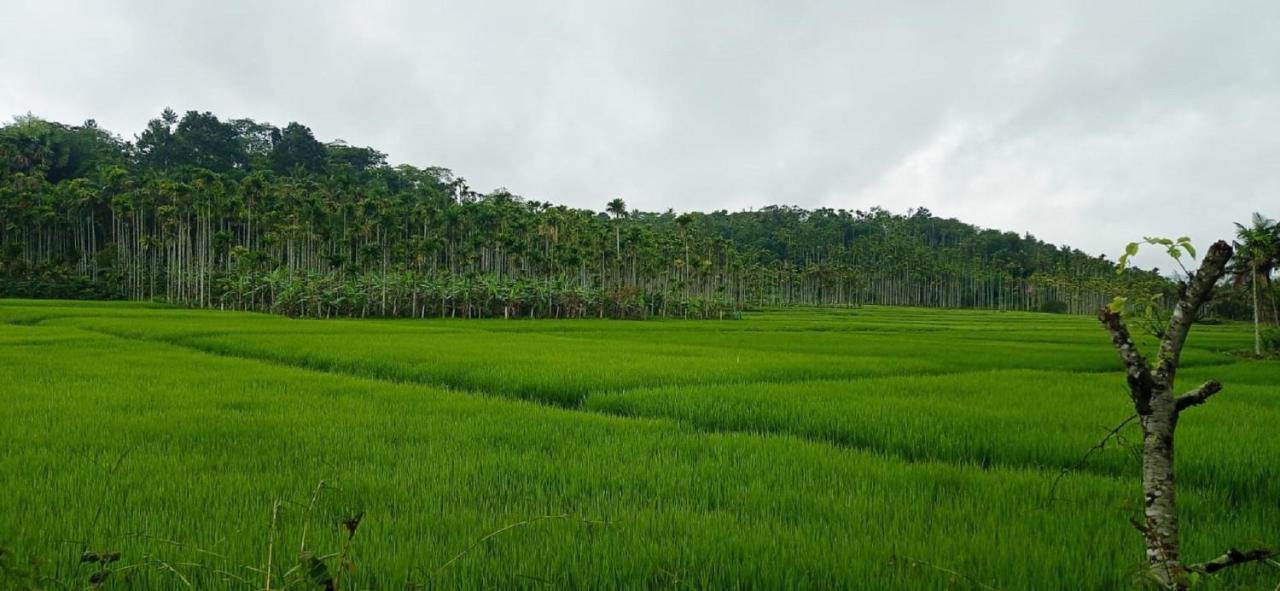 Kuruva Shoreline Wayanad Chegat Exterior photo